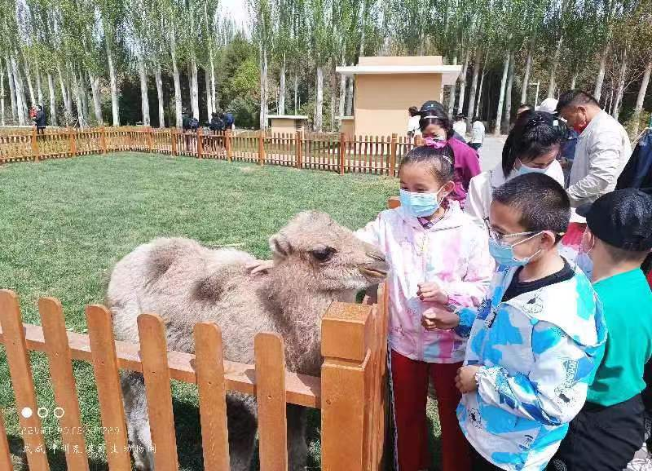 202205051651714538356690.png 2.png