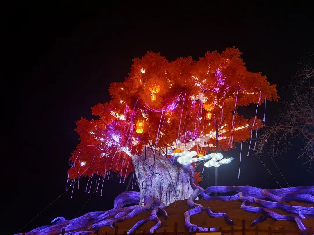 202305221684744055991710.jpg 6.jpg