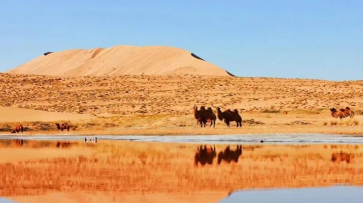 202505051746460045224023.jpg 微信圖片_20250505234657.jpg