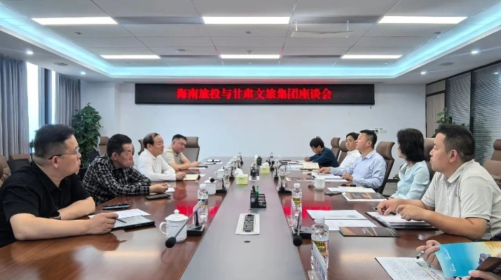 精準(zhǔn)對標(biāo) 取長補短丨集團黨委書記、董事長石培文帶隊赴海南考察學(xué)習(xí)