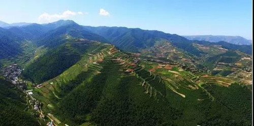 7_副本.jpg 7_副本.jpg